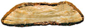 Querschnitt