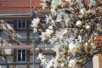 Altbau